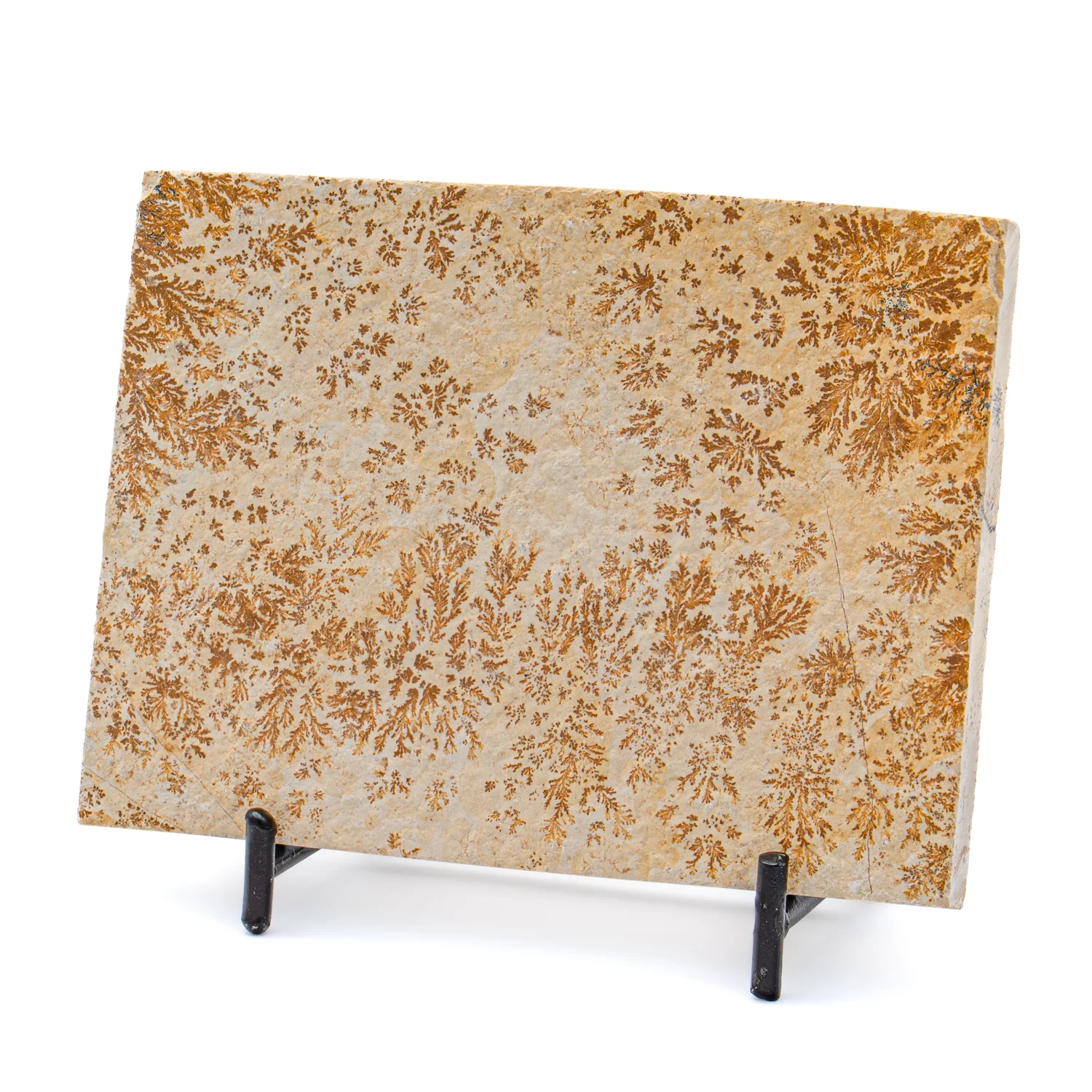 Dendrite Crystal Sandstone - SOLD 4.17"