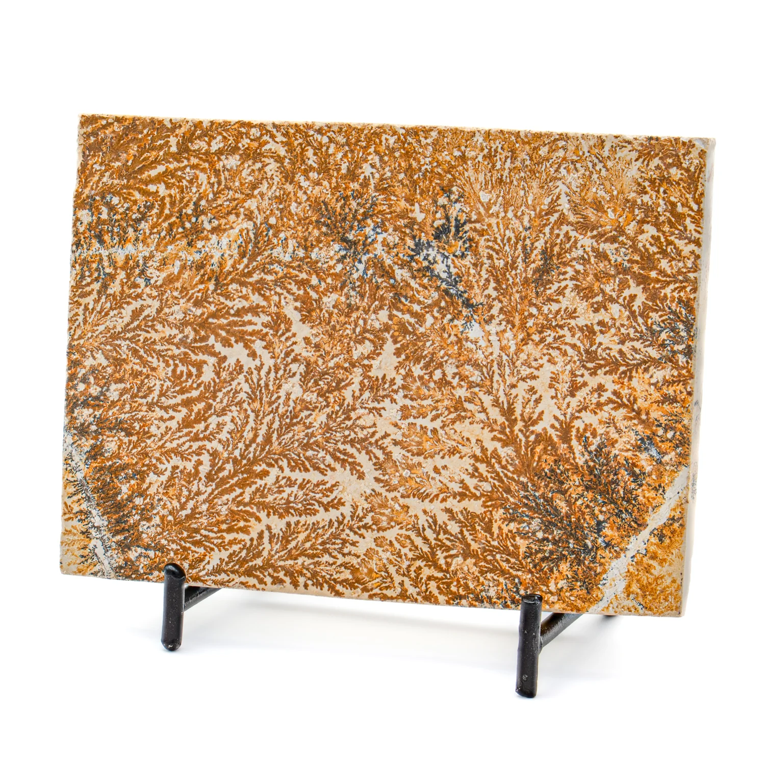 Dendrite Crystal Sandstone - SOLD 4.17" - Image 2