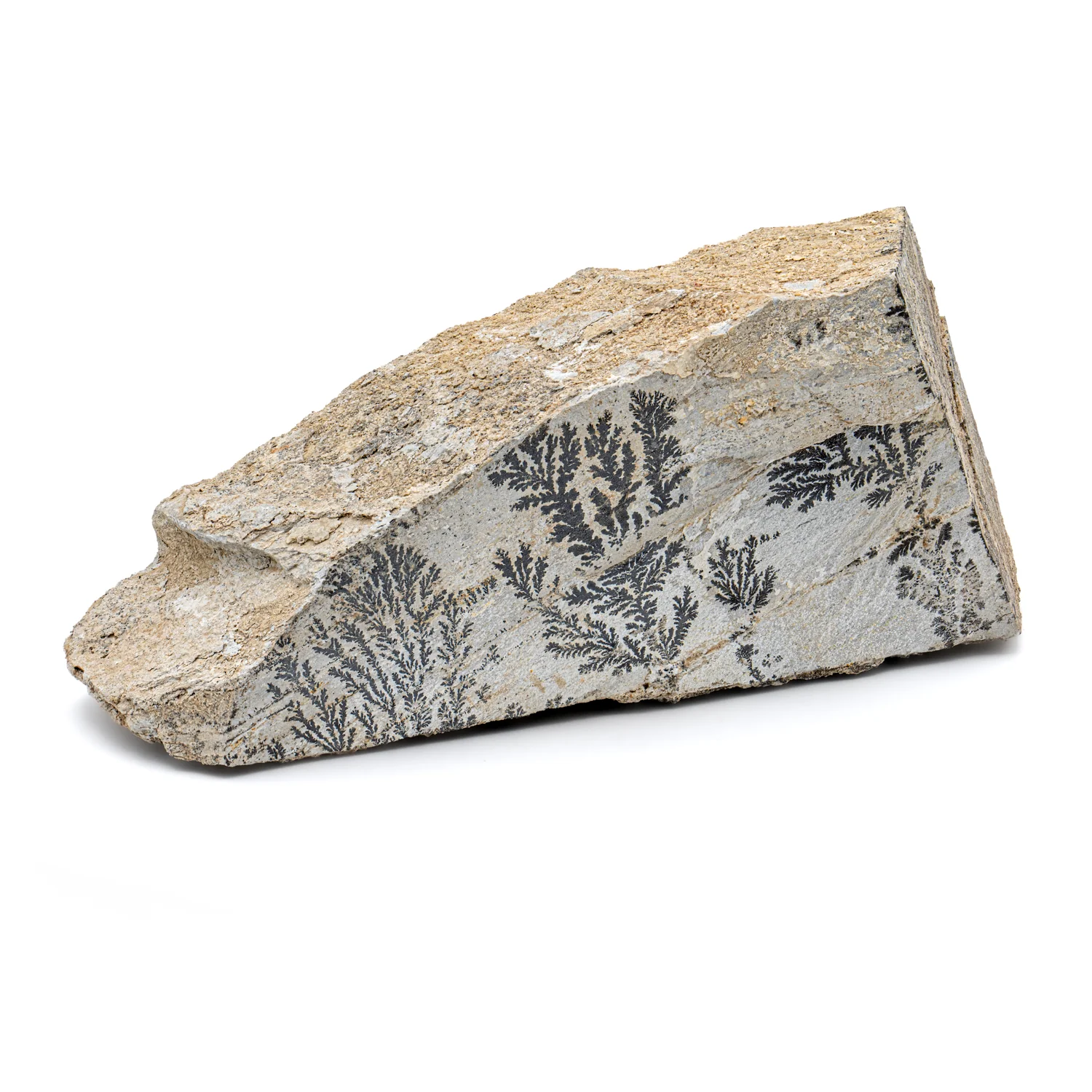 Dendrite Crystal Sandstone - SOLD 5.23"
