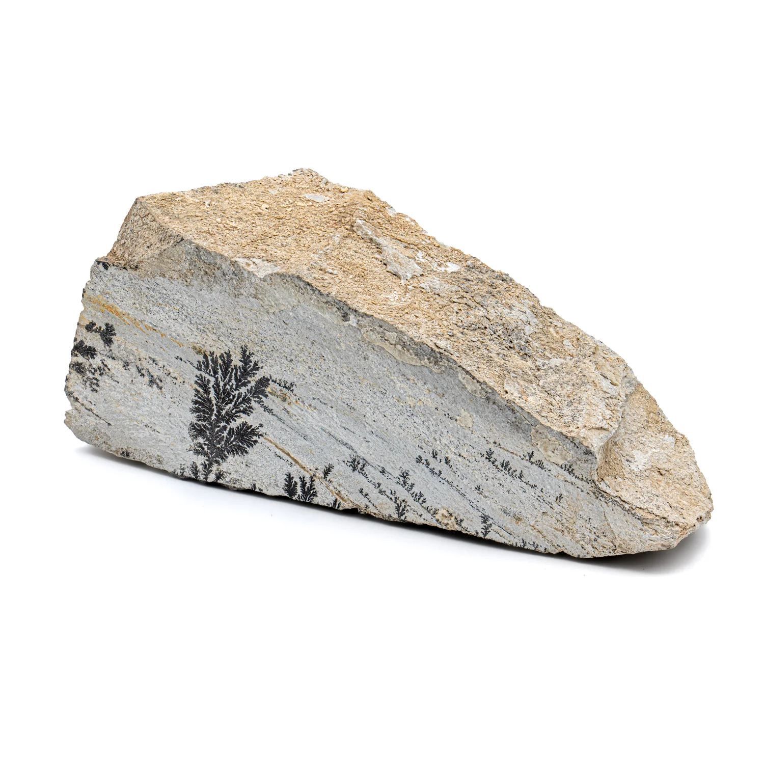 Dendrite Crystal Sandstone - SOLD 5.23" - Image 3