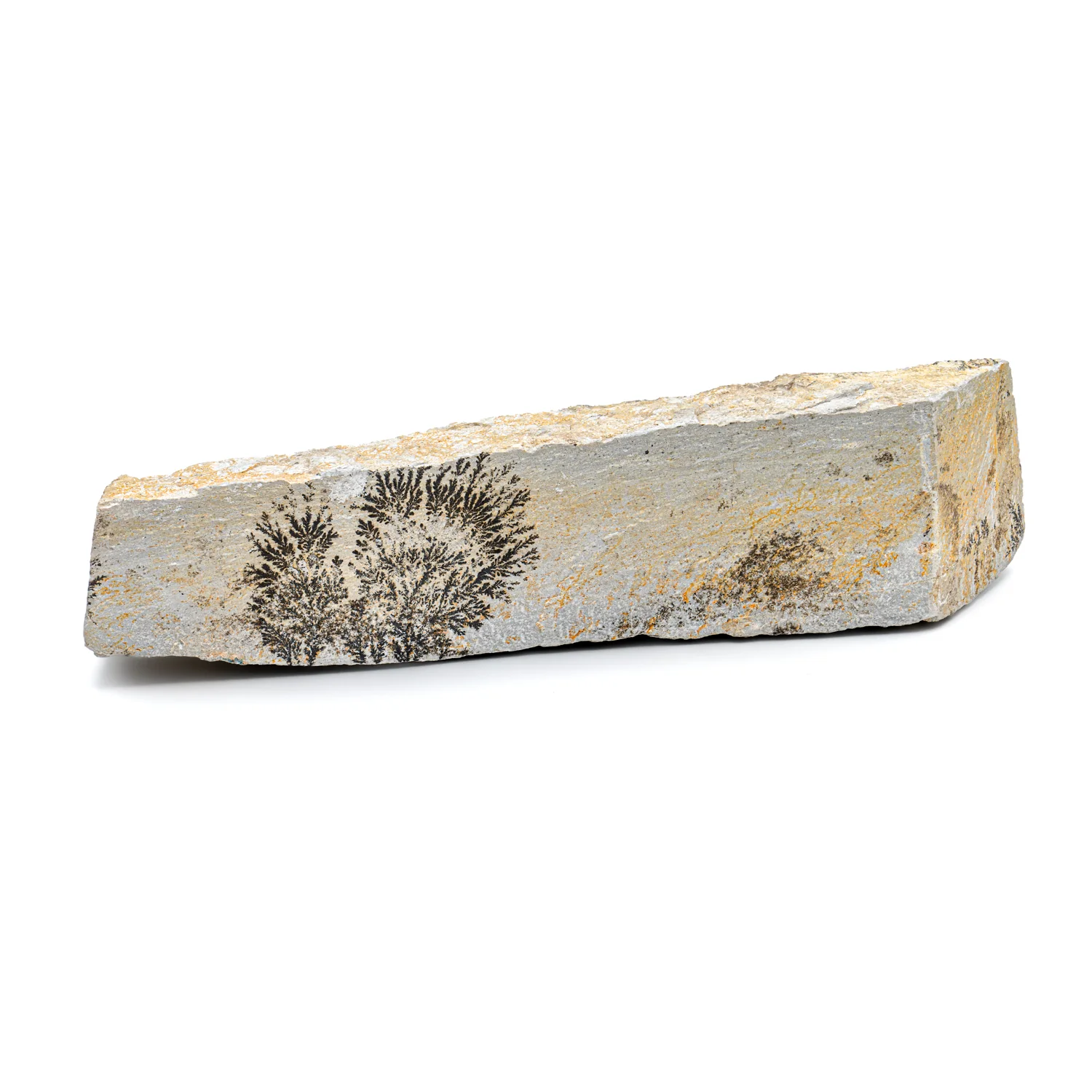 Dendrite Crystal Sandstone - SOLD 5.89"