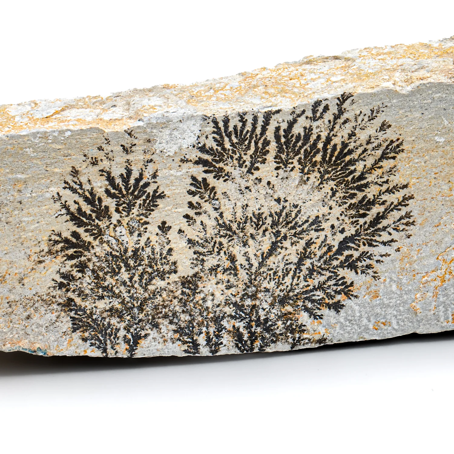 Dendrite Crystal Sandstone - SOLD 5.89" - Image 2