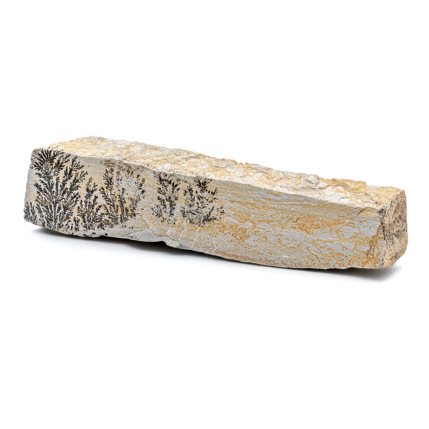 Dendrite Crystal Sandstone - SOLD 5.89" - Image 3