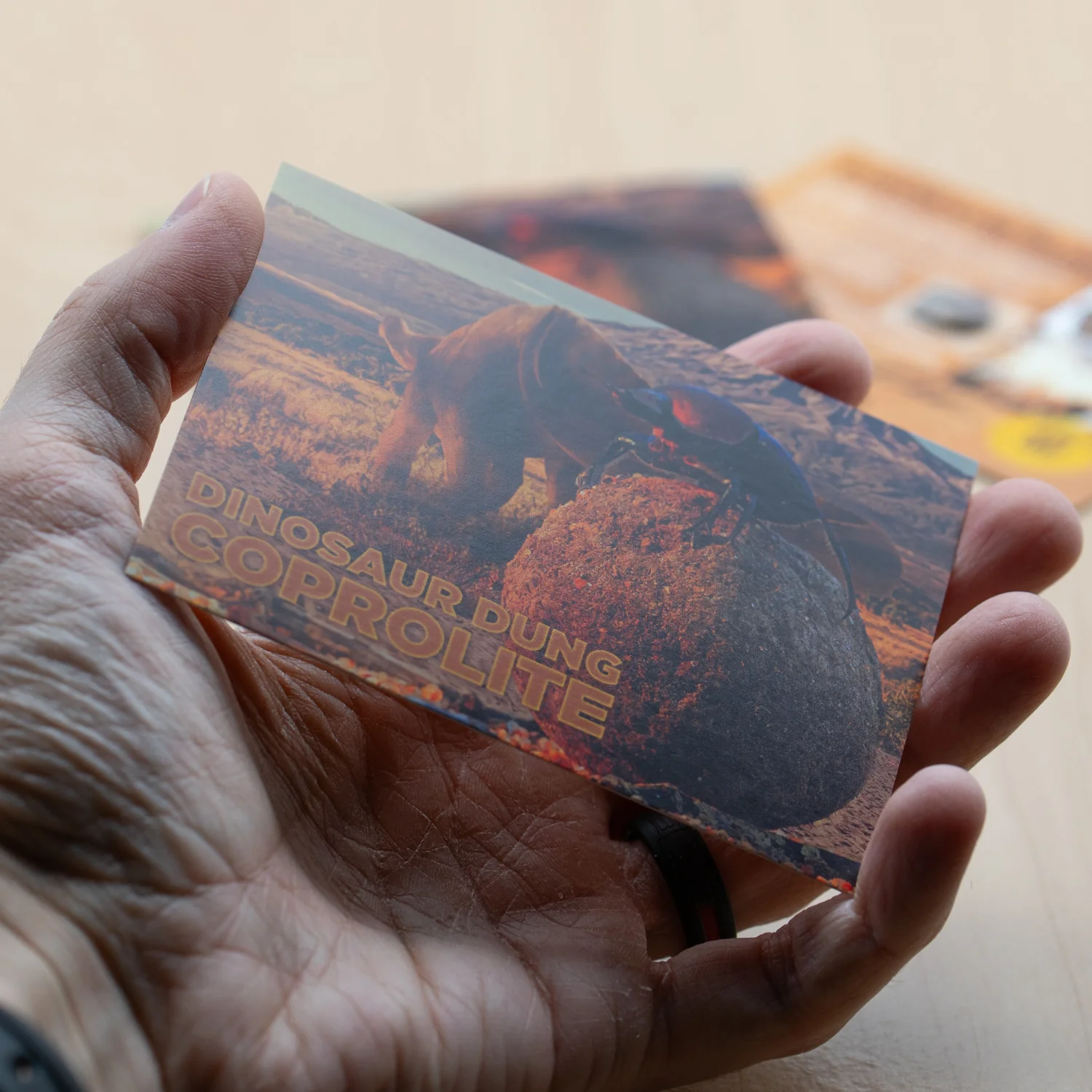Dinosaur Dung - Card Display - Authentic Fossil Poop - Image 3