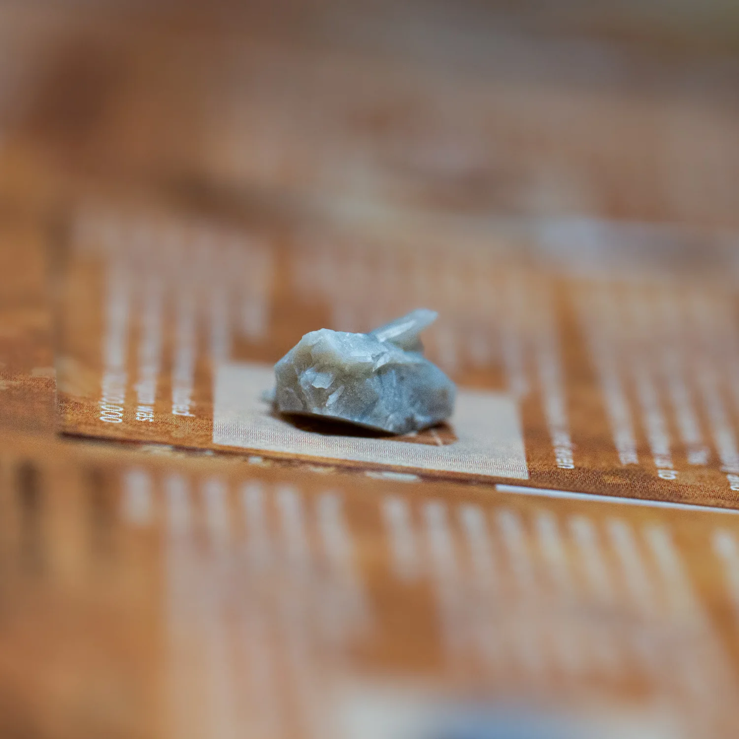 Dinosaur Dung - Card Display - Authentic Fossil Poop - Image 6