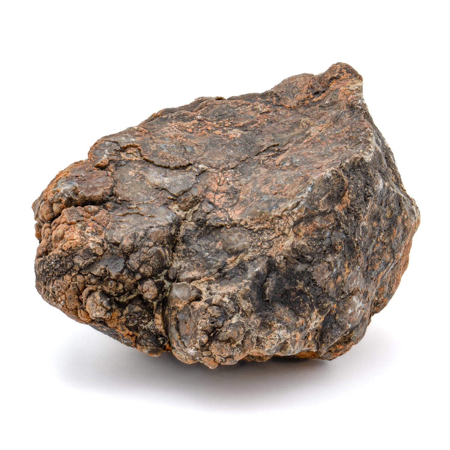 Dinosaur Dung (Coprolite) - SOLD 1.5 lb 13.25" CIRCUMFERENCE - Image 2
