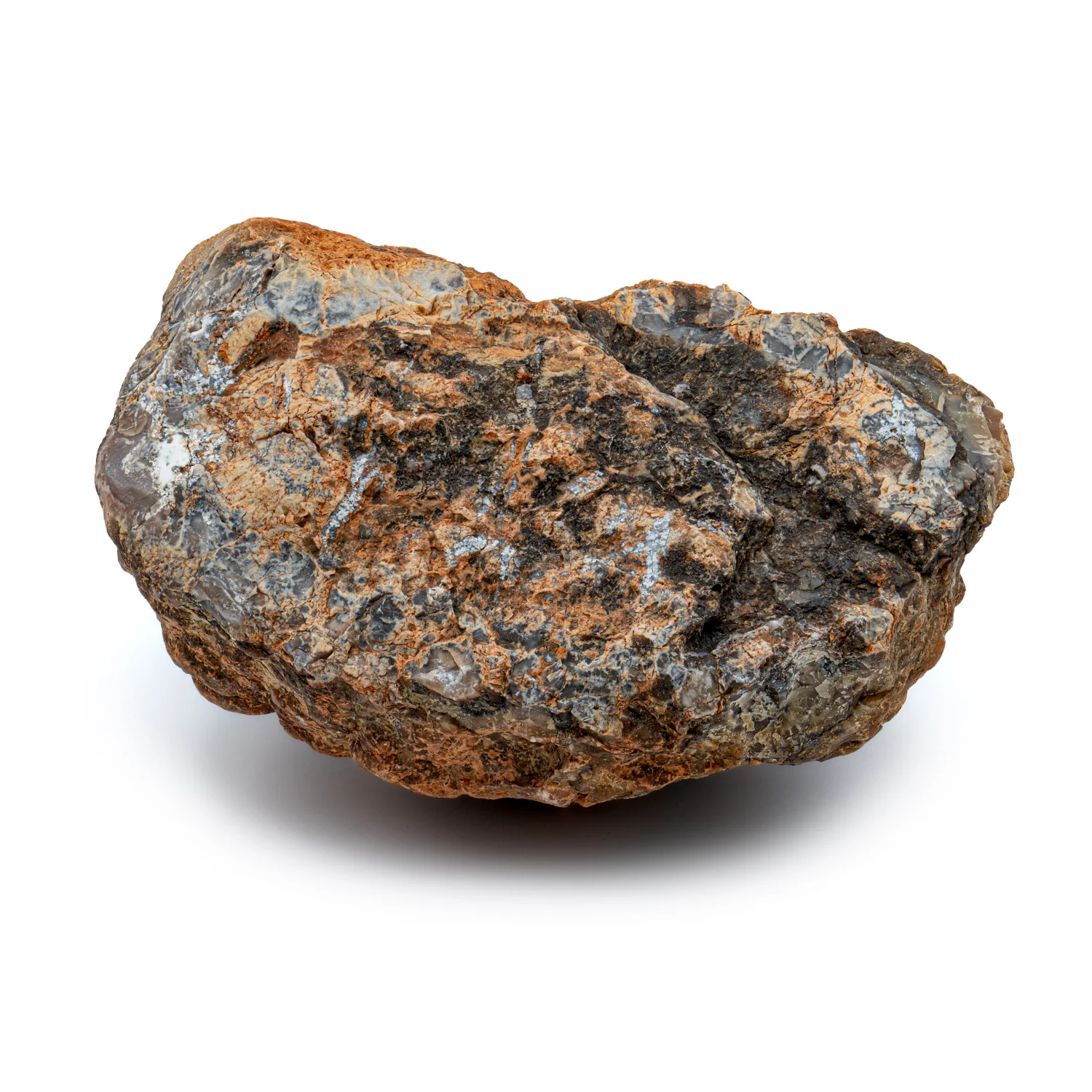 Dinosaur Dung (Coprolite) - SOLD 6.4 lb 19" CIRCUMFERENCE - Image 3