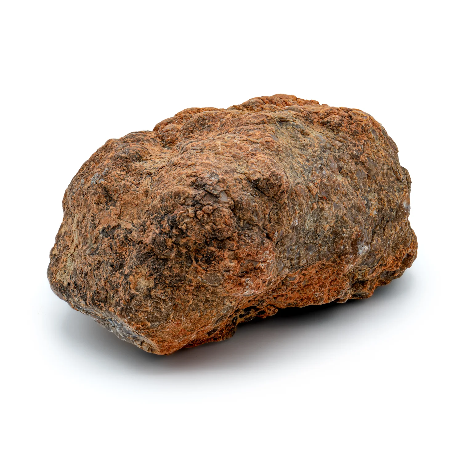 Dinosaur Dung (Coprolite) - SOLD 6.4 lb 19" CIRCUMFERENCE - Image 4