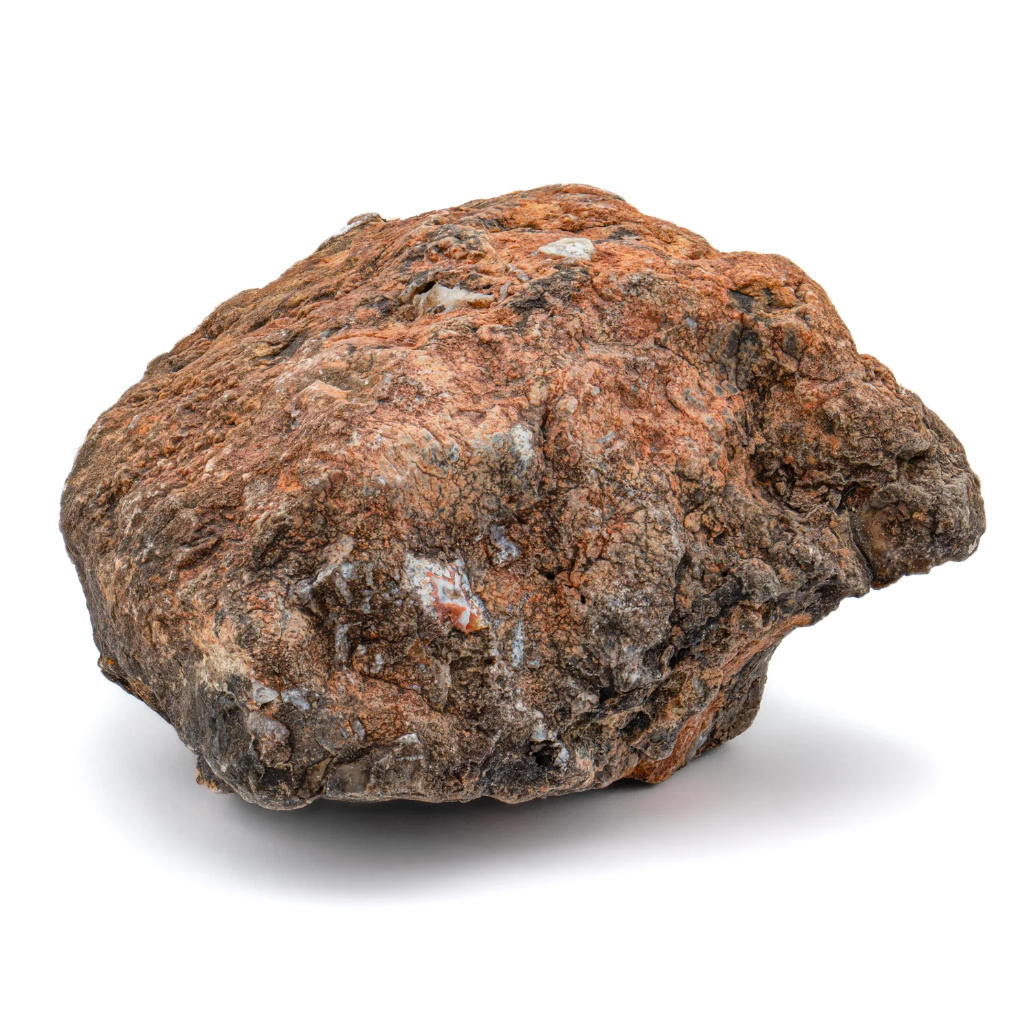 Dinosaur Dung (Coprolite) - SOLD 2.25 lb 15.7" CIRCUMFERENCE