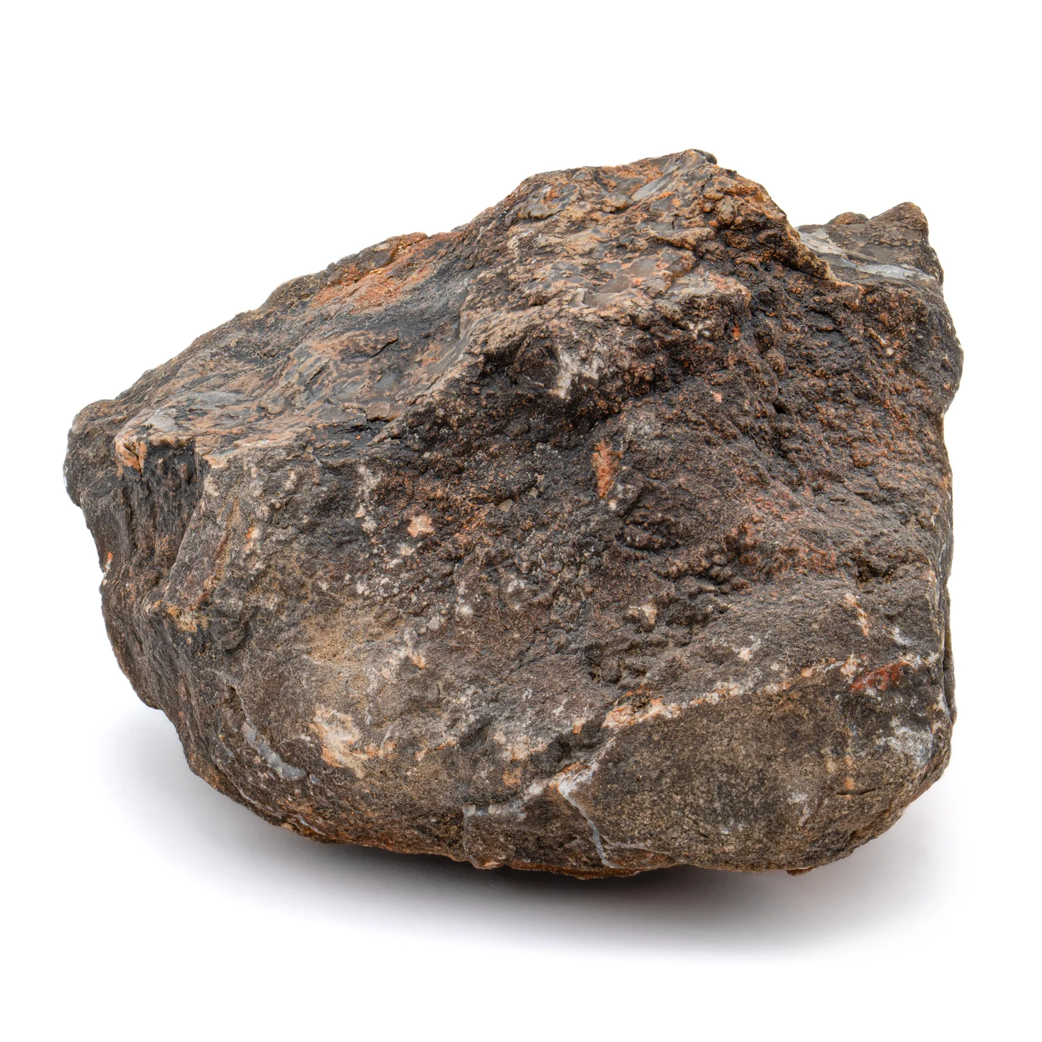 Dinosaur Dung (Coprolite) - SOLD 2.25 lb 15.7" CIRCUMFERENCE - Image 3