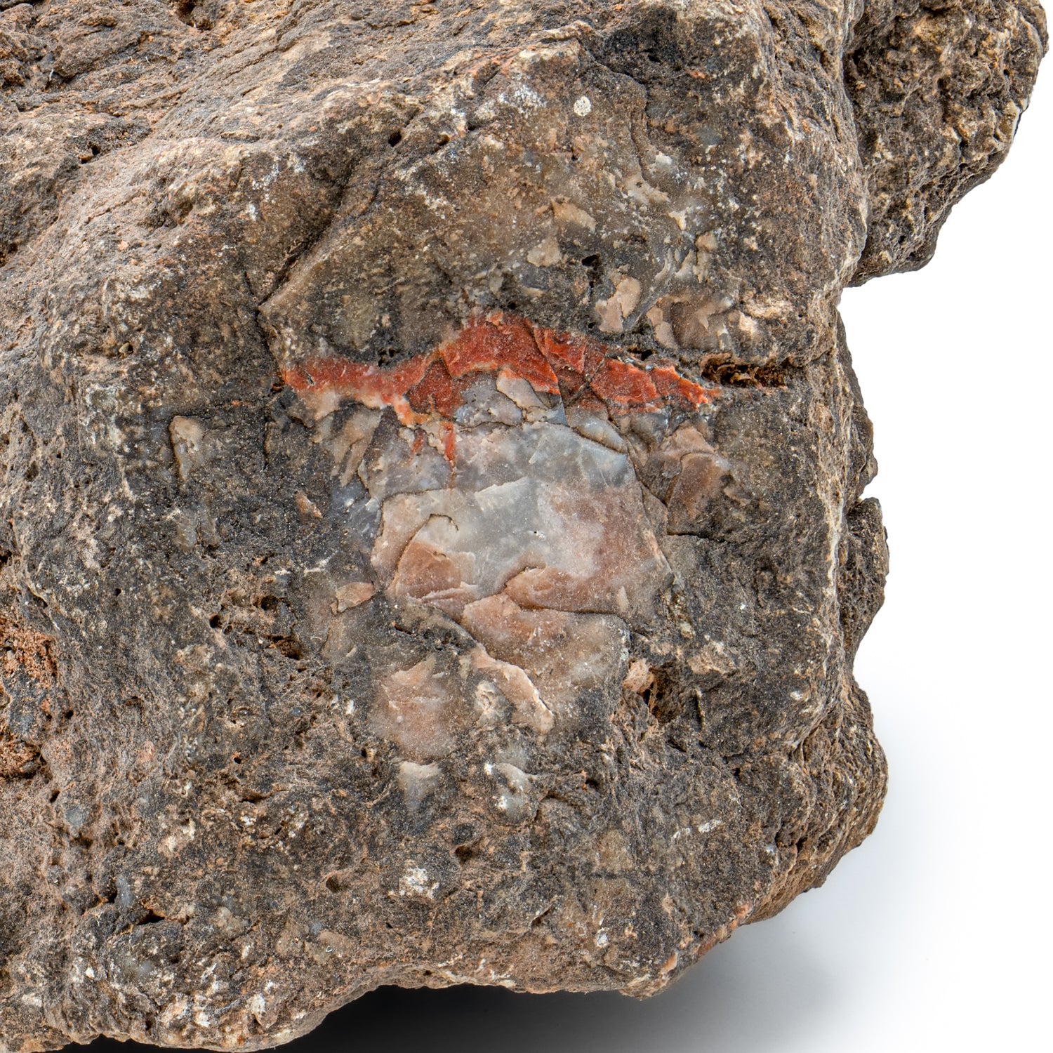 Dinosaur Dung (Coprolite) - SOLD 5.1 LB 18" CIRCUMFERENCE - Image 2
