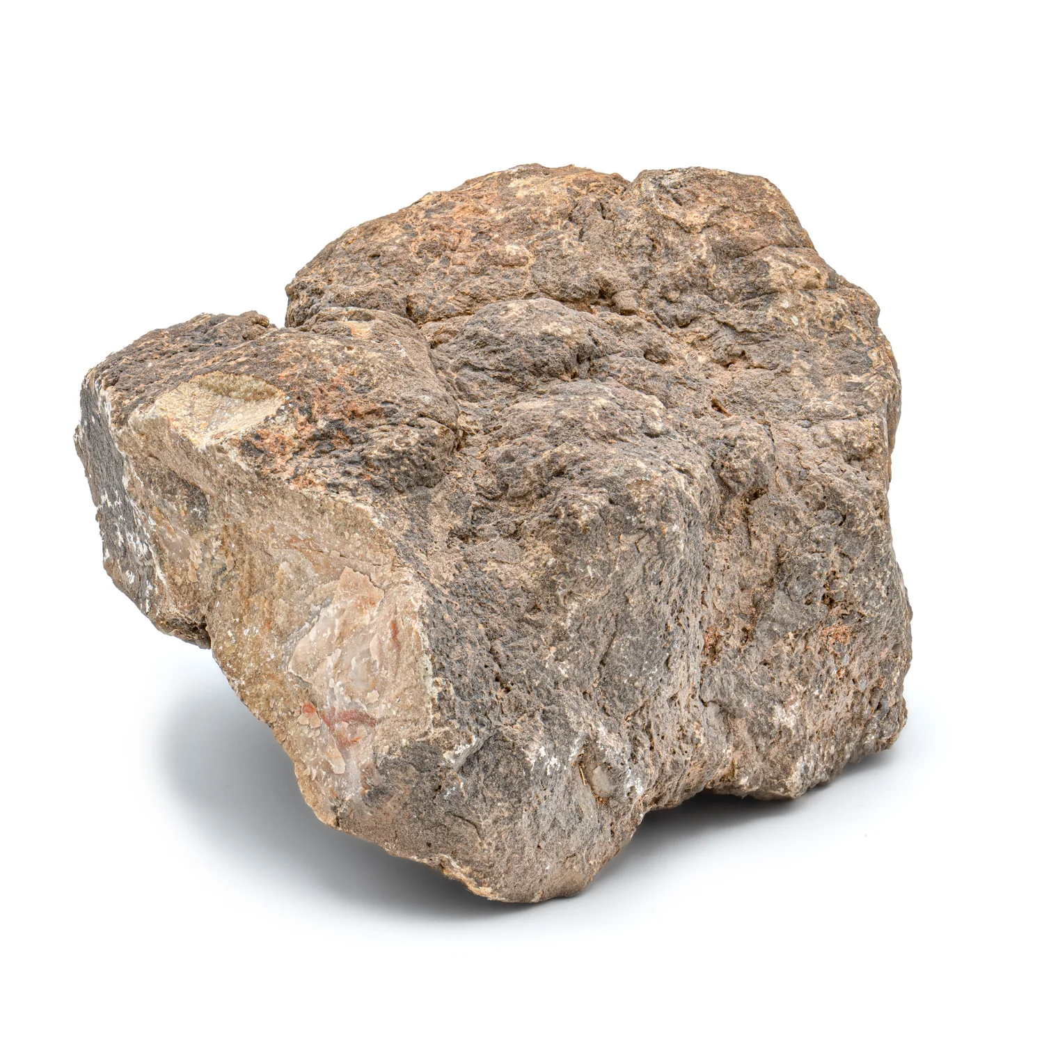 Dinosaur Dung (Coprolite) - SOLD 5.1 LB 18" CIRCUMFERENCE - Image 3