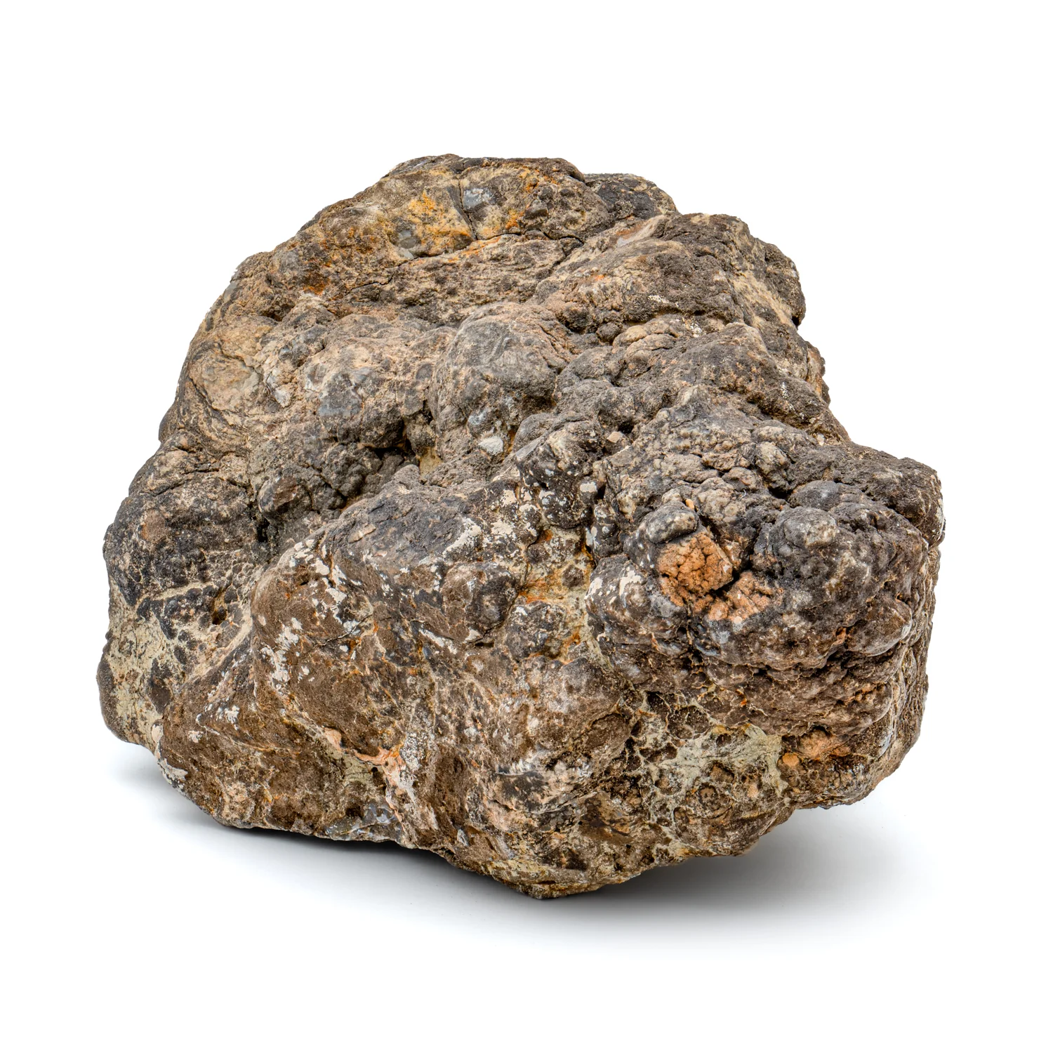 Dinosaur Dung (Coprolite) - SOLD 5.8 lb 23" CIRCUMFERENCE - Image 2