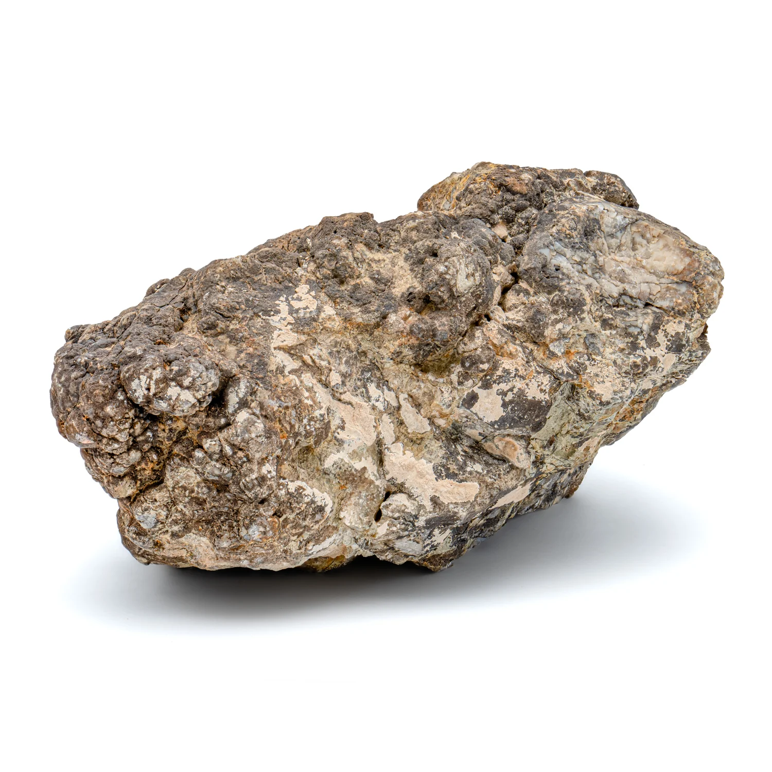 Dinosaur Dung (Coprolite) - SOLD 5.8 lb 23" CIRCUMFERENCE - Image 4