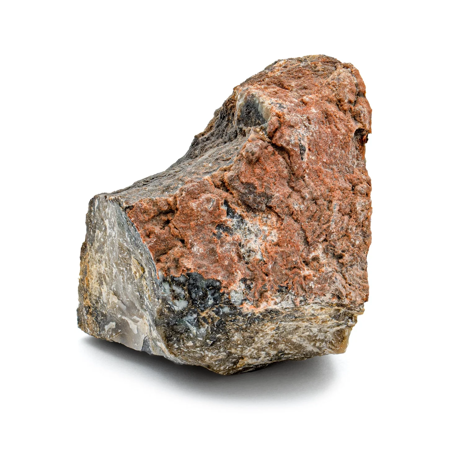 Dinosaur Dung (Coprolite) - Classic Riker Box Specimen - Image 6