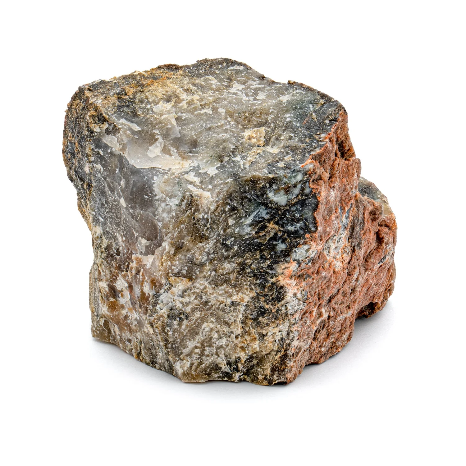 Dinosaur Dung (Coprolite) - Classic Riker Box Specimen - Image 7