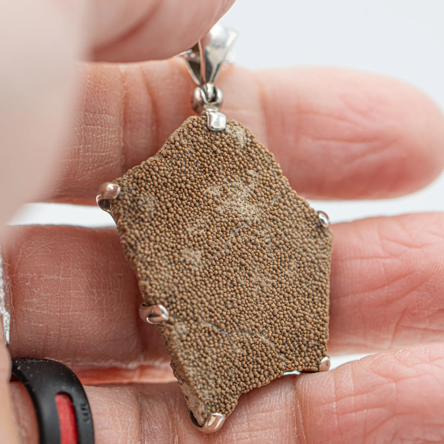 Dinosaur Eggshell Pendant - SOLD 1.52"