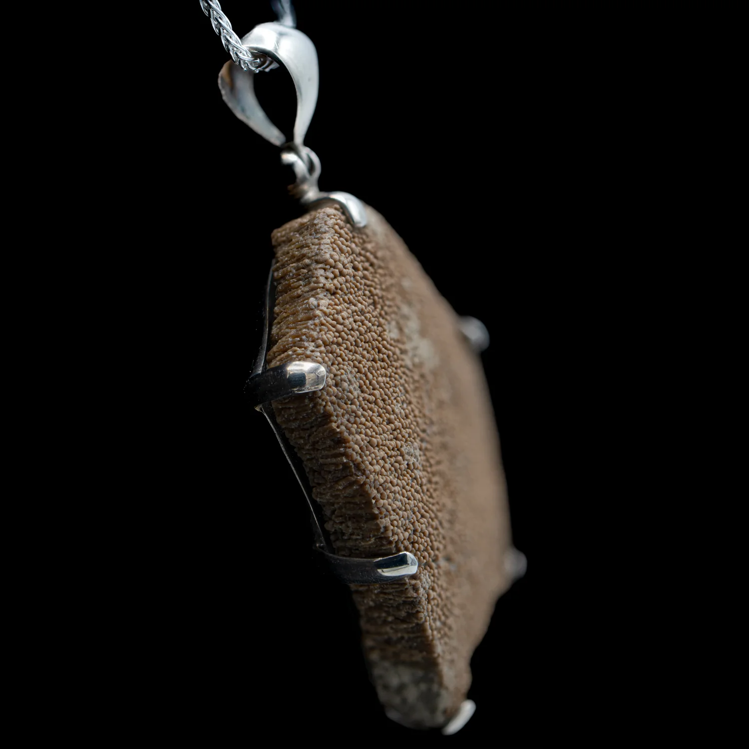 Dinosaur Eggshell Pendant - SOLD 1.52" - Image 7