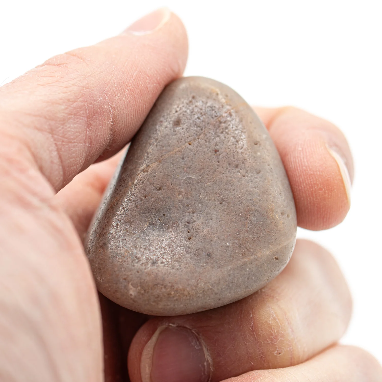 Dinosaur Gastrolith - 1.633" Gut Stone - 150,000,000 Years Old - Image 2