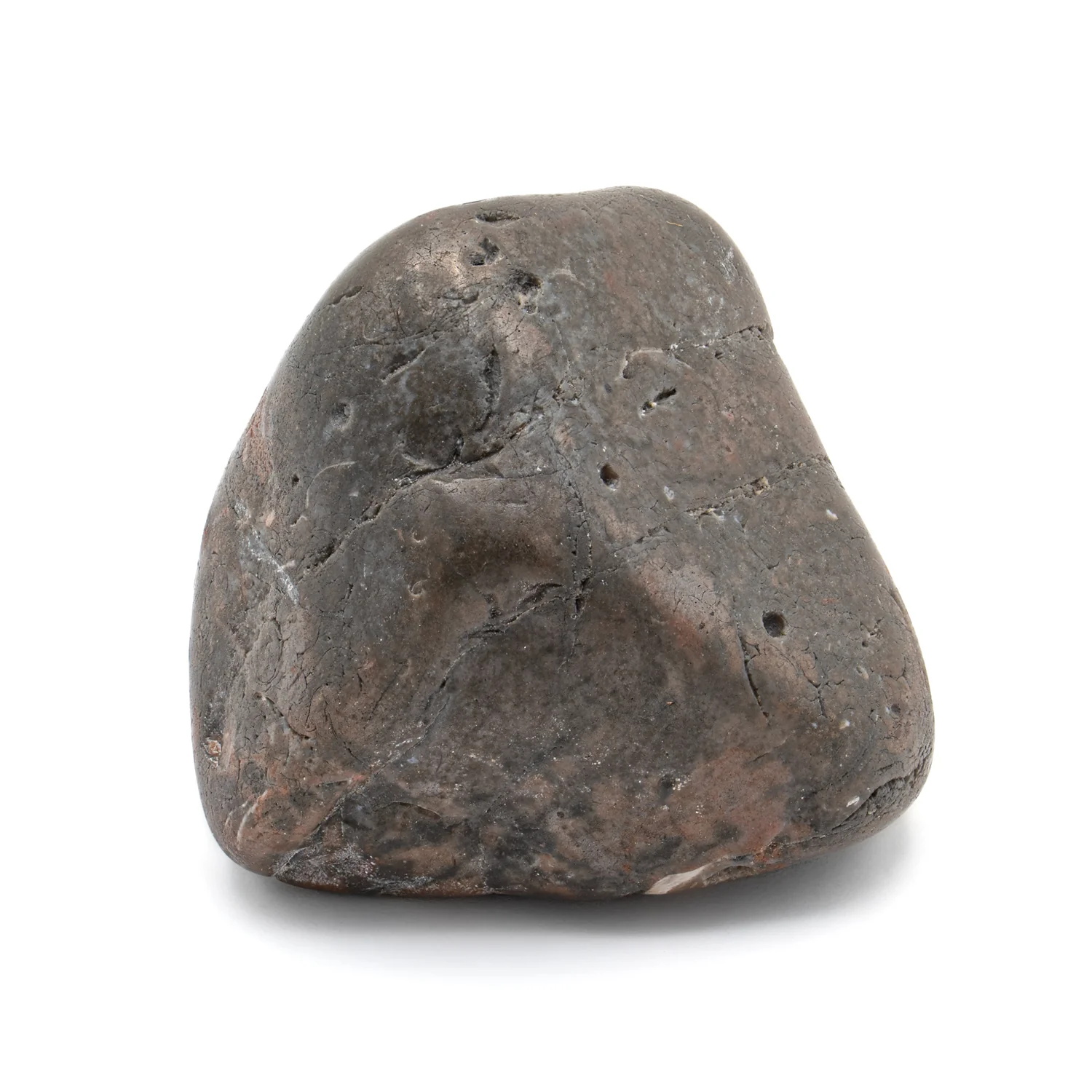 Dinosaur Gastrolith - 1.683" Gut Stone - 150,000,000 Years Old - Image 2