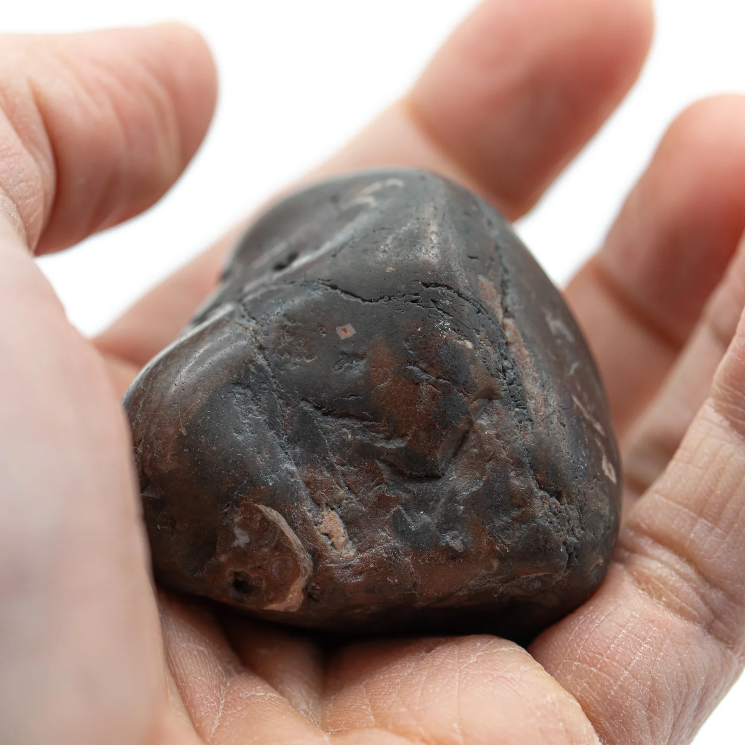 Dinosaur Gastrolith - 1.683" Gut Stone - 150,000,000 Years Old - Image 3