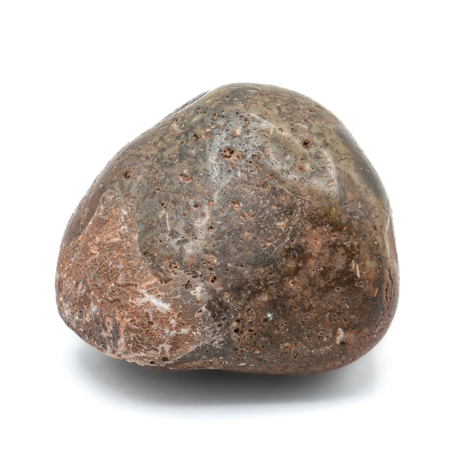 Dinosaur Gastrolith - 1.831" Gut Stone - 150,000,000 Years Old - Image 3