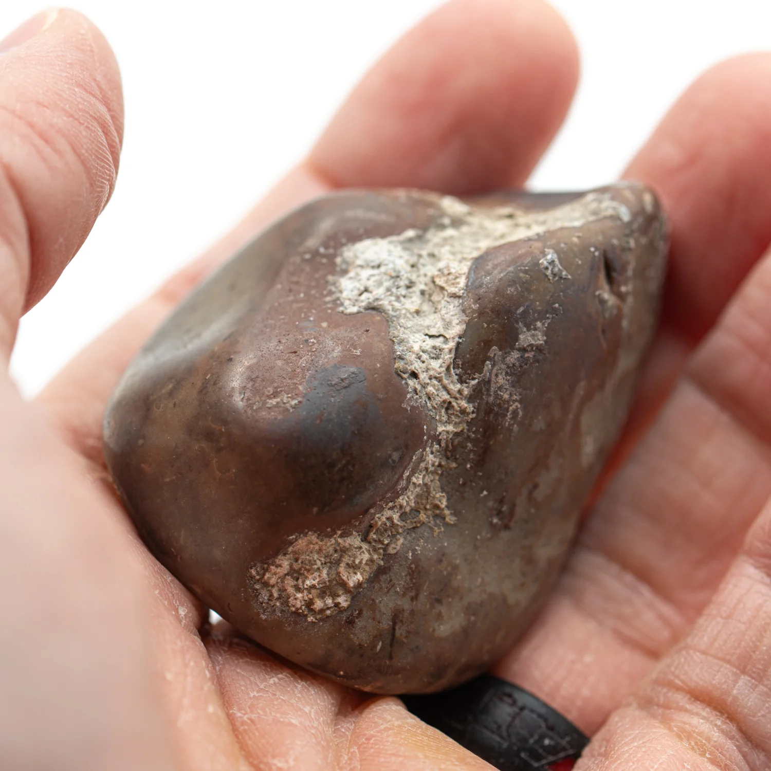 Dinosaur Gastrolith - 2.025" Gut Stone - 150,000,000 Years Old - Image 3