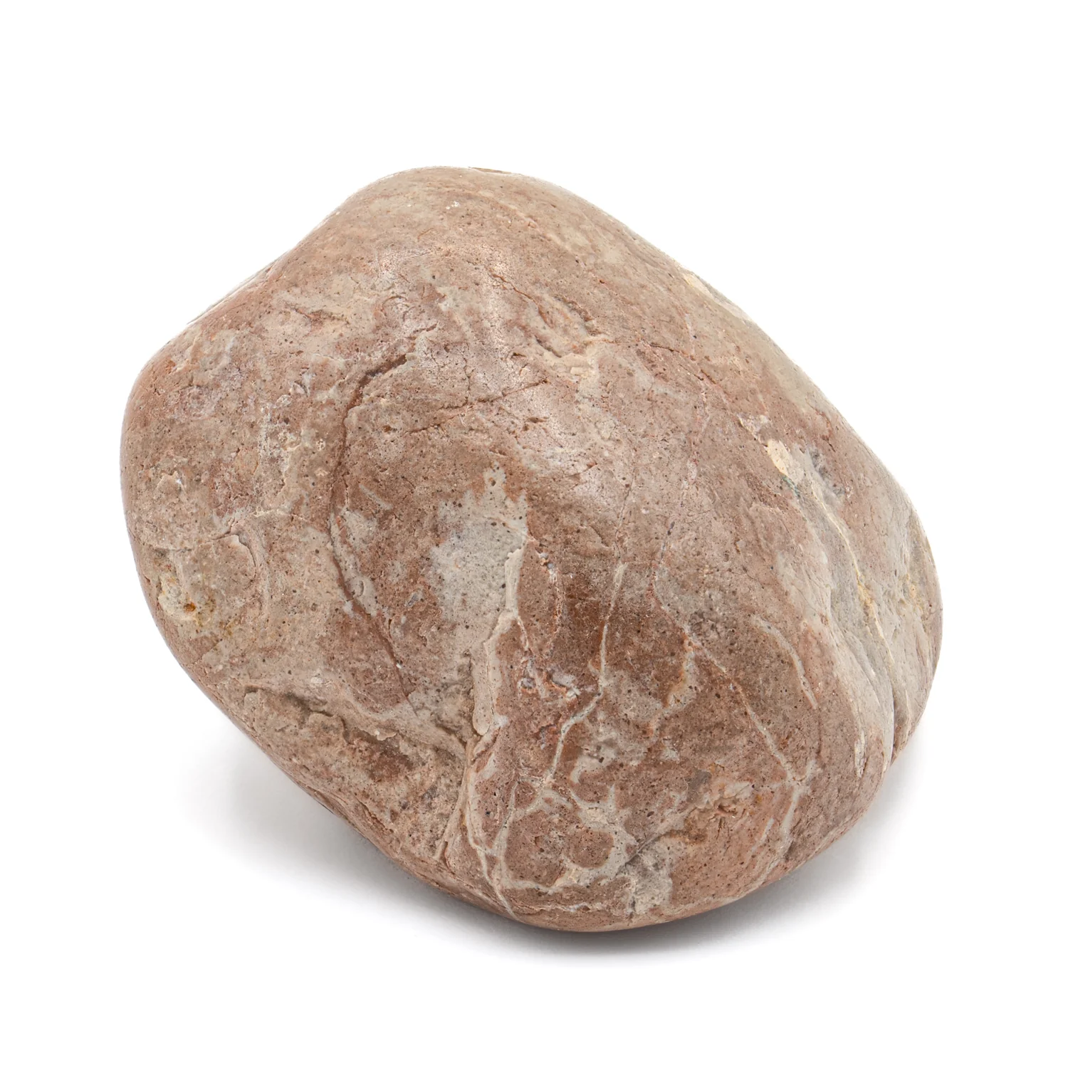 Dinosaur Gastrolith - 2.055" Gut Stone - 150,000,000 Years Old - Image 3