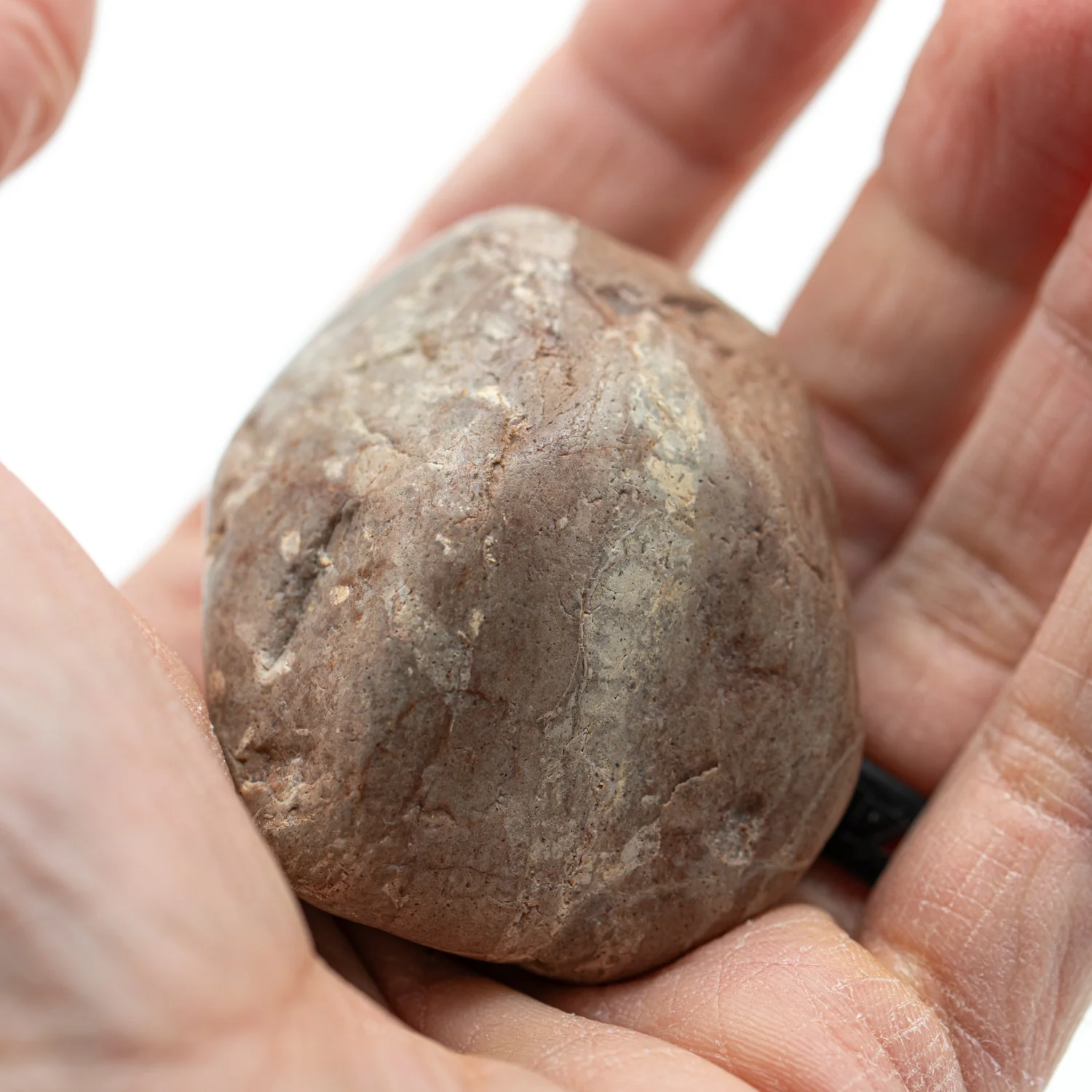 Dinosaur Gastrolith - 2.055" Gut Stone - 150,000,000 Years Old - Image 4