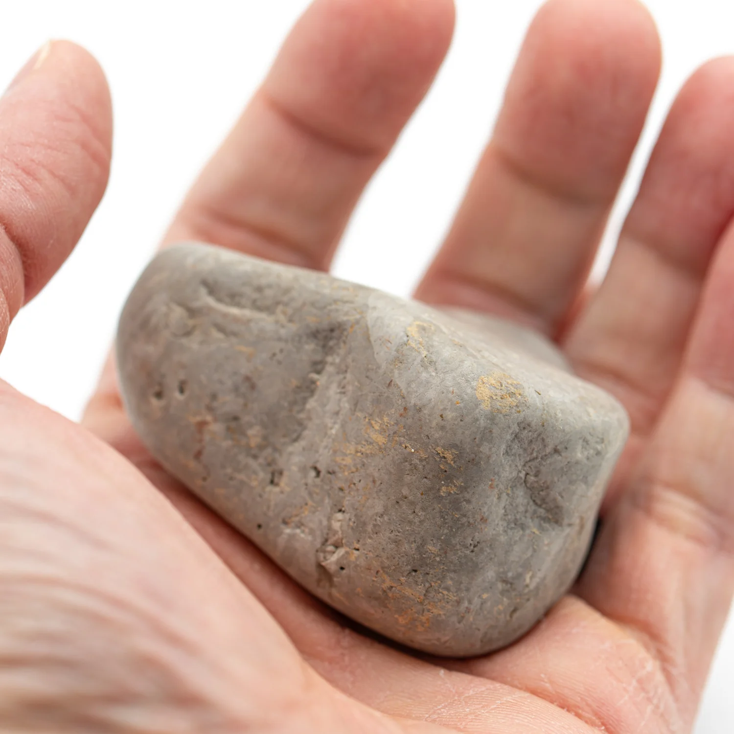 Dinosaur Gastrolith - 2.270" Gut Stone - 150,000,000 Years Old - Image 2
