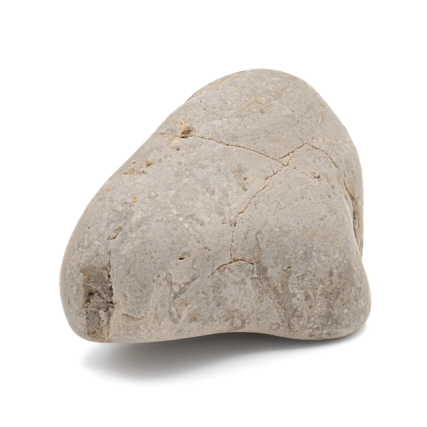 Dinosaur Gastrolith - 2.270" Gut Stone - 150,000,000 Years Old - Image 3