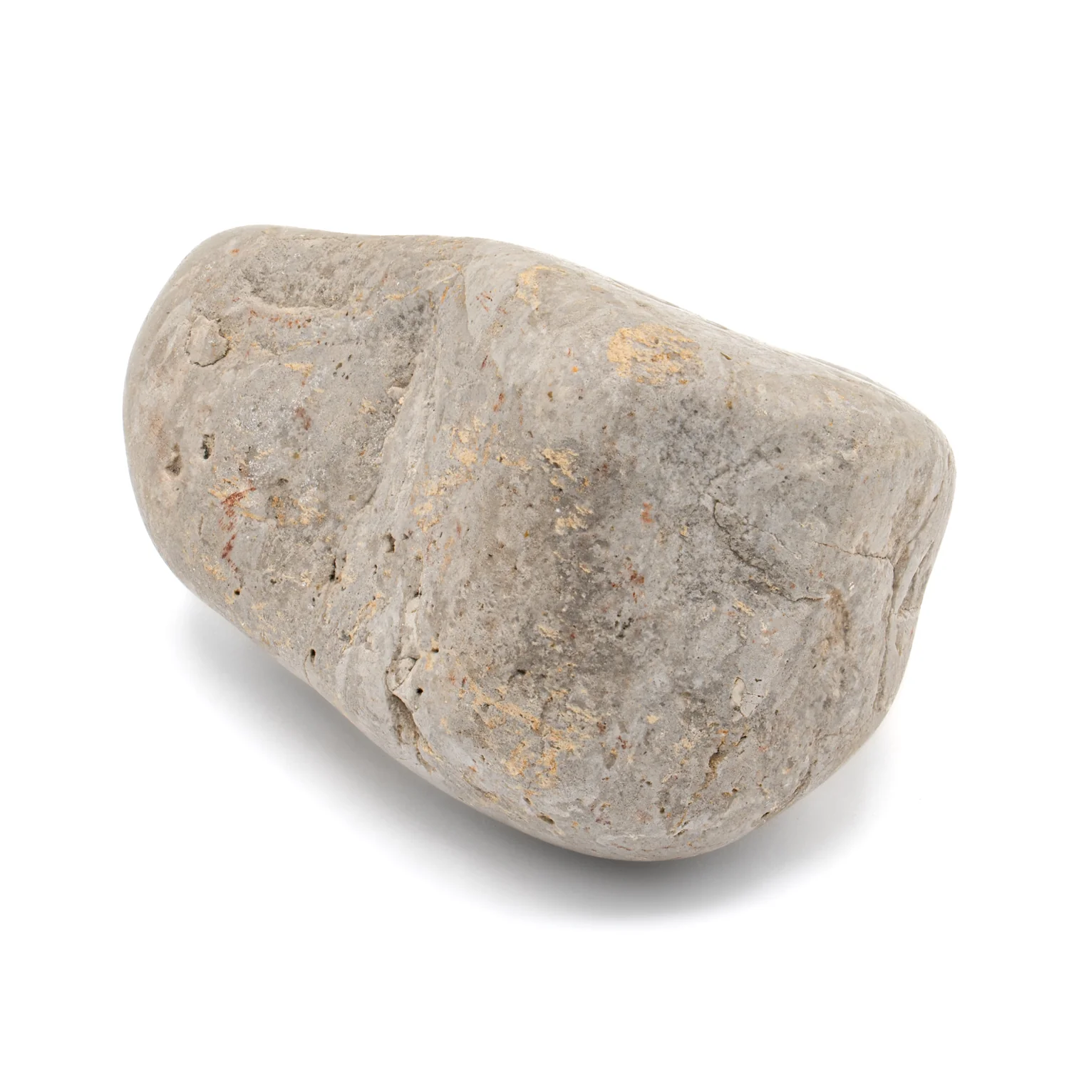 Dinosaur Gastrolith - 2.270" Gut Stone - 150,000,000 Years Old - Image 4