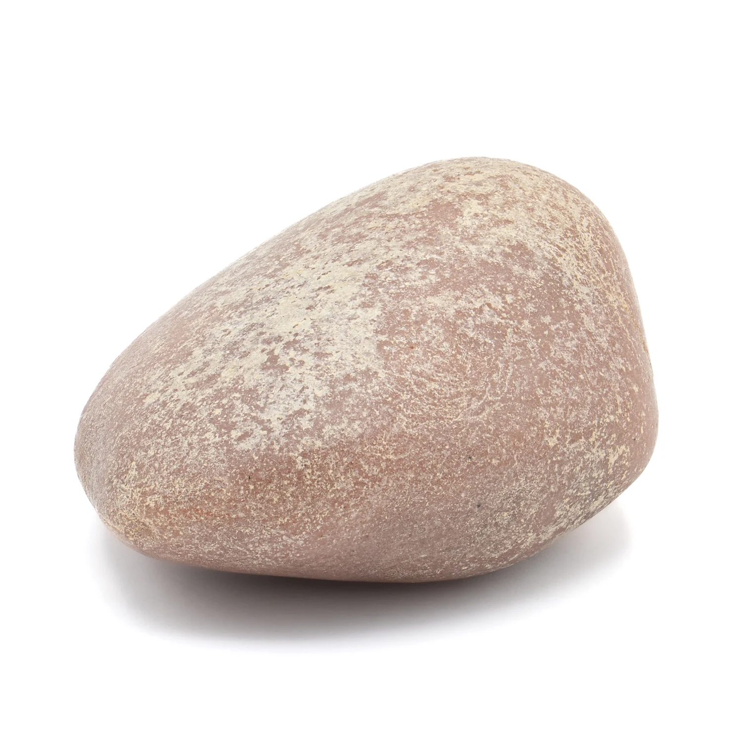 Dinosaur Gastrolith - 2.397" Gut Stone - 150,000,000 Years Old - Image 2