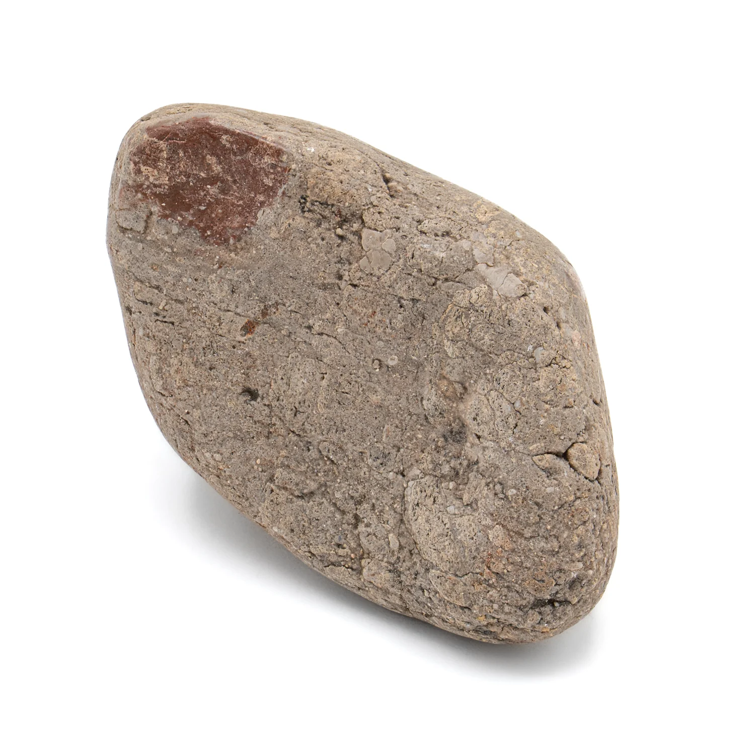 Dinosaur Gastrolith - 2.418" Gut Stone - 150,000,000 Years Old - Image 3