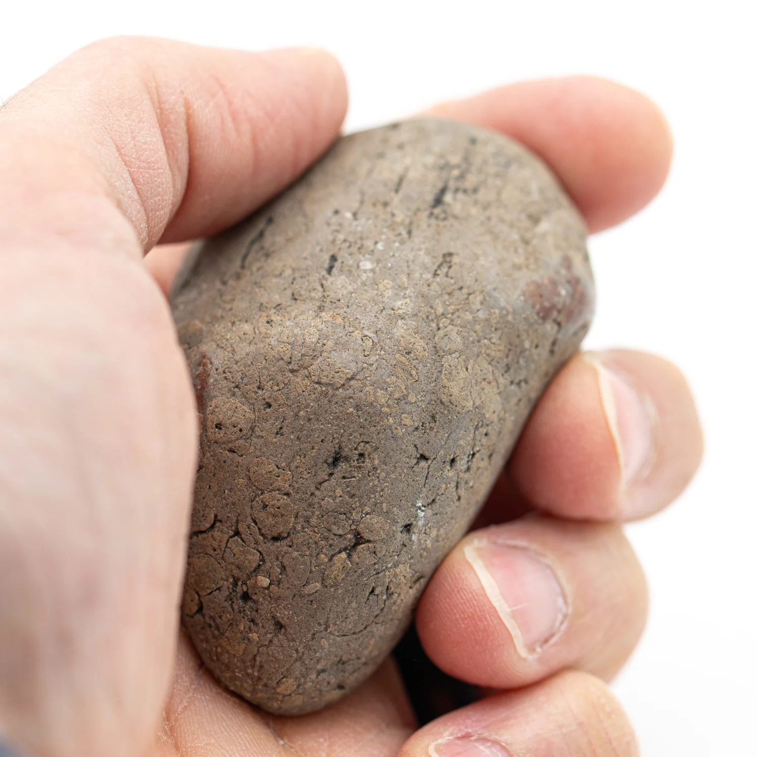 Dinosaur Gastrolith - 2.418" Gut Stone - 150,000,000 Years Old - Image 4