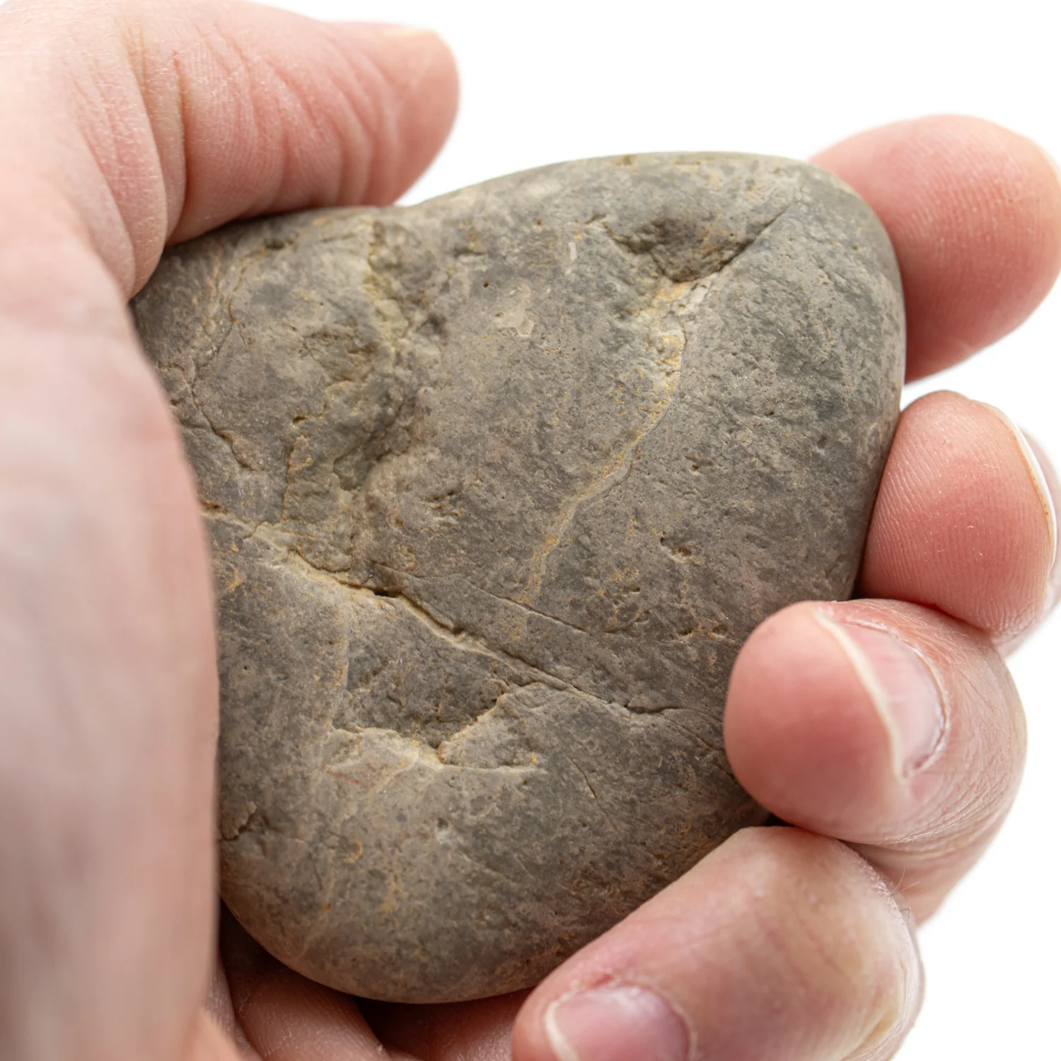 Dinosaur Gastrolith - 2.485" Gut Stone - 150,000,000 Years Old - Image 3