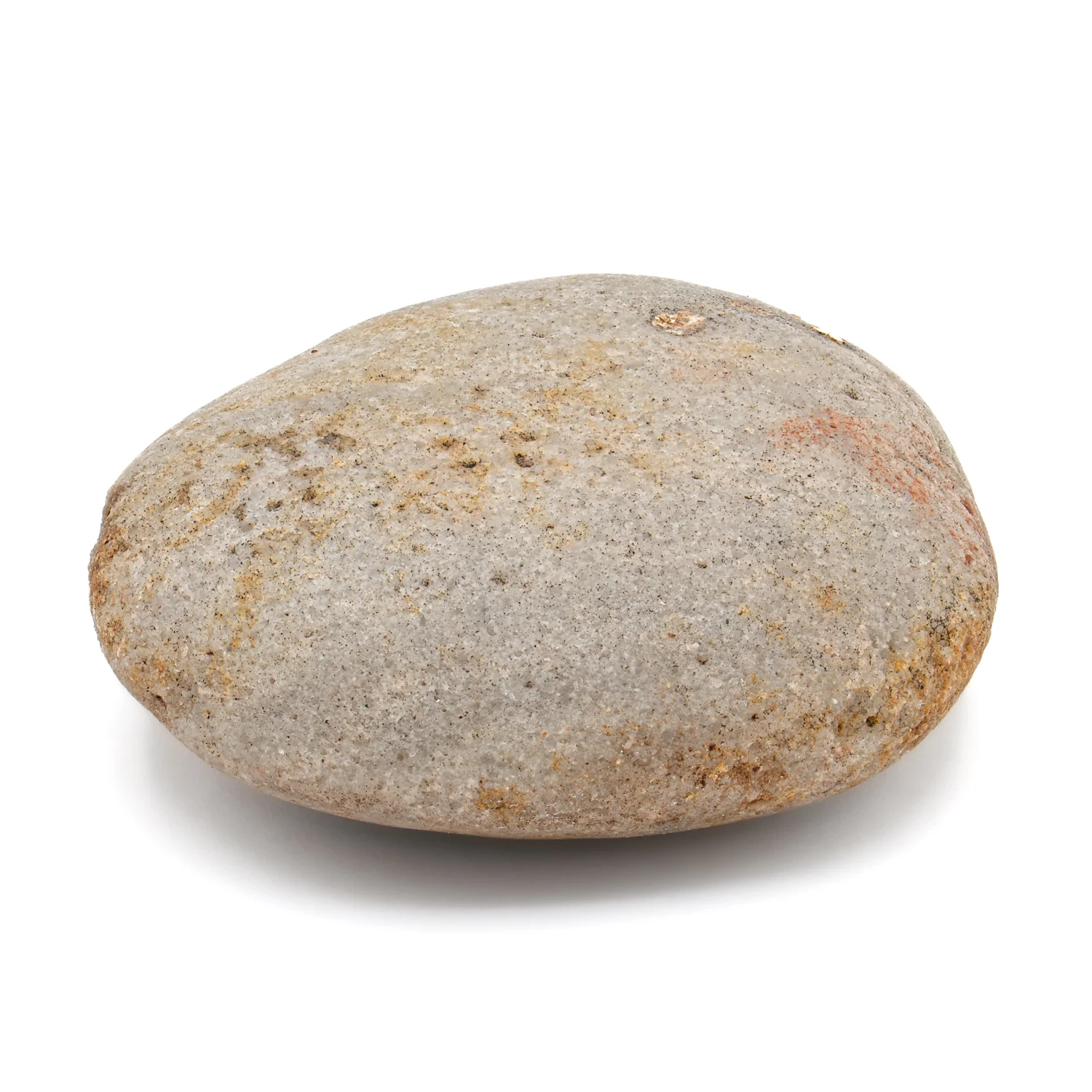Dinosaur Gastrolith - SOLD 2.556" Gut Stone - 150,000,000 Years Old - Image 3