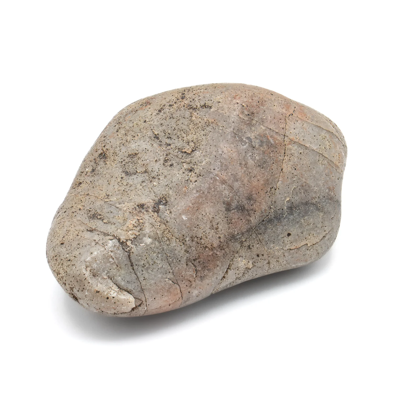 Dinosaur Gastrolith - 2.727" Gut Stone - 150,000,000 Years Old - Image 2