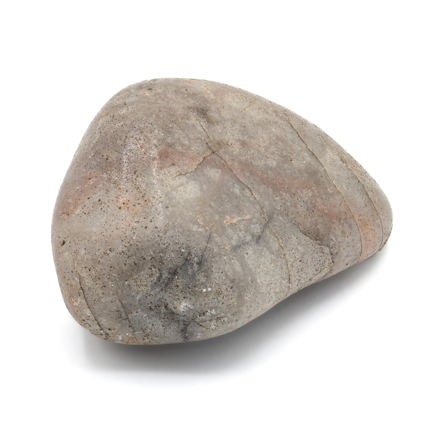 Dinosaur Gastrolith - 2.727" Gut Stone - 150,000,000 Years Old - Image 3