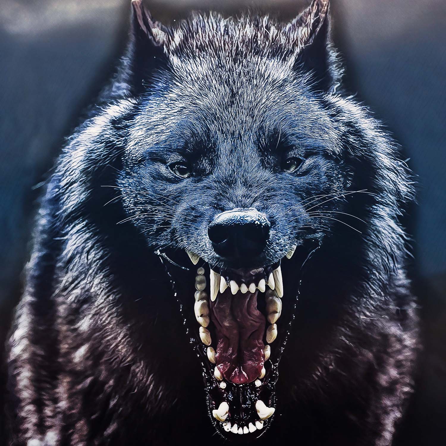 Dire Wolf Jaw Classic Riker Box - Image 2
