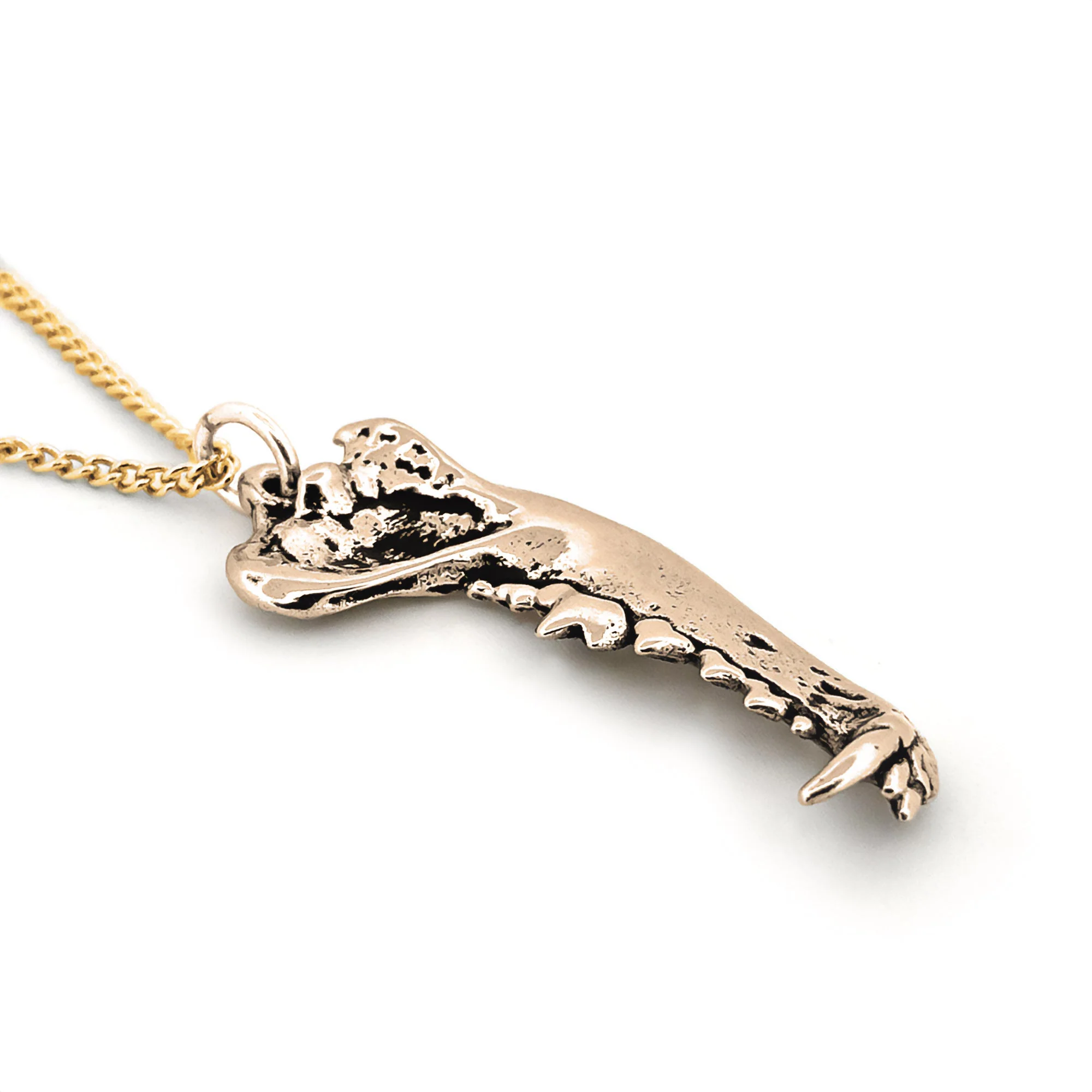 Dire Wolf Jaw Pendant - Image 2