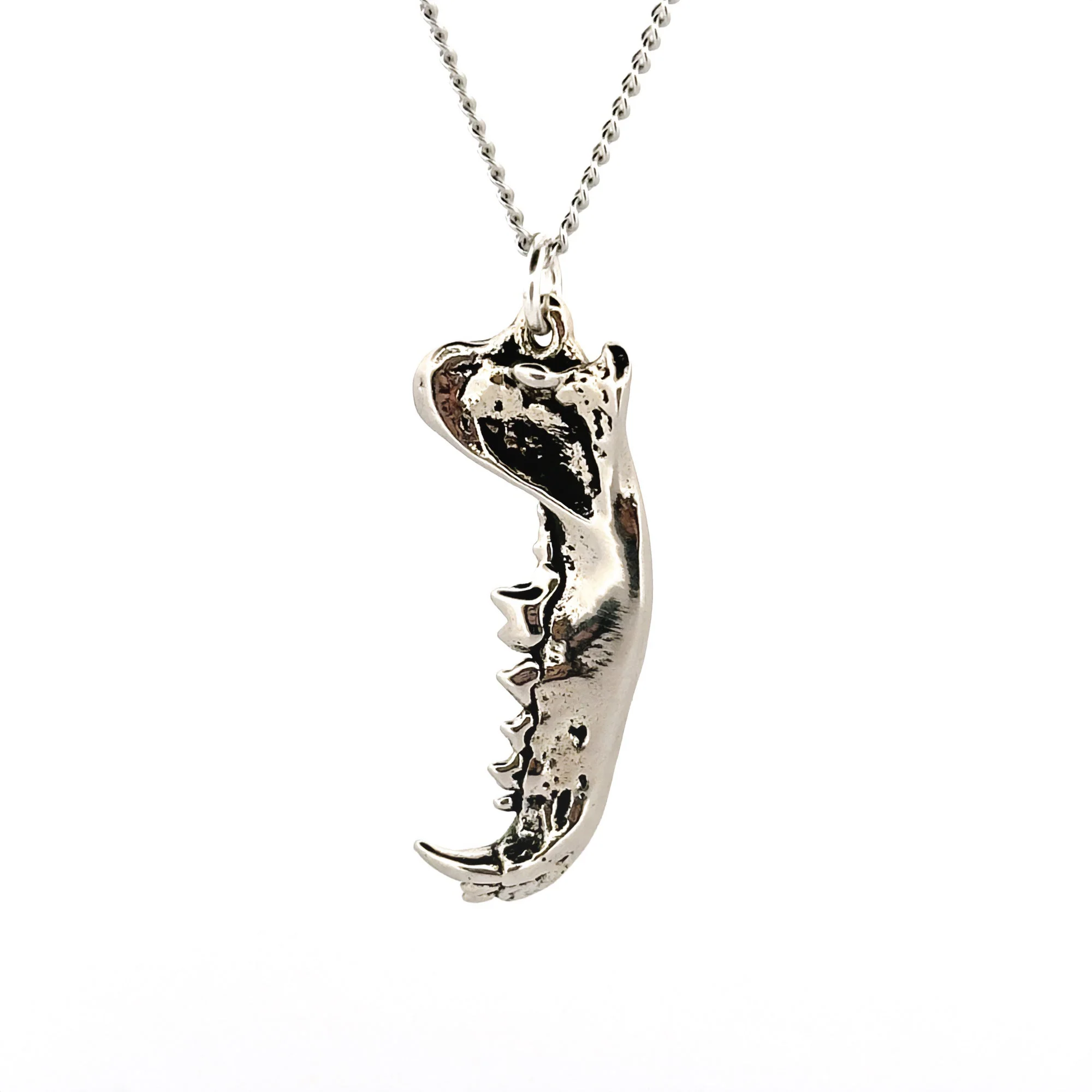 Dire Wolf Jaw Pendant - Image 4