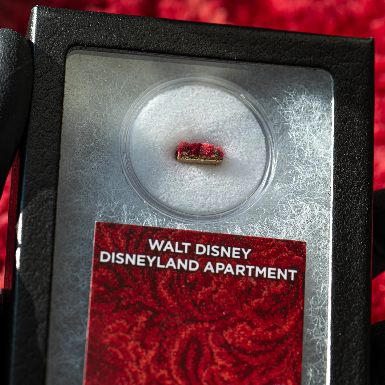 Walt Disney Disneyland Cranberry Room Carpet - Image 5