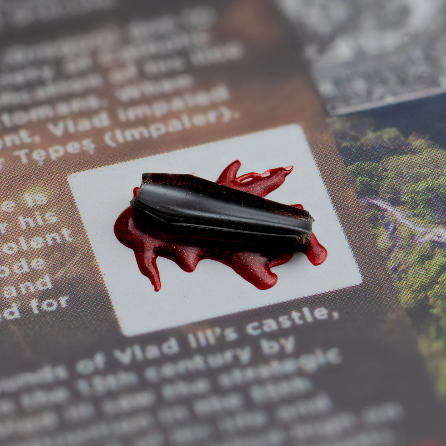 Dracula's Castle Soil Coffin - Display Card 🦇 - Image 2