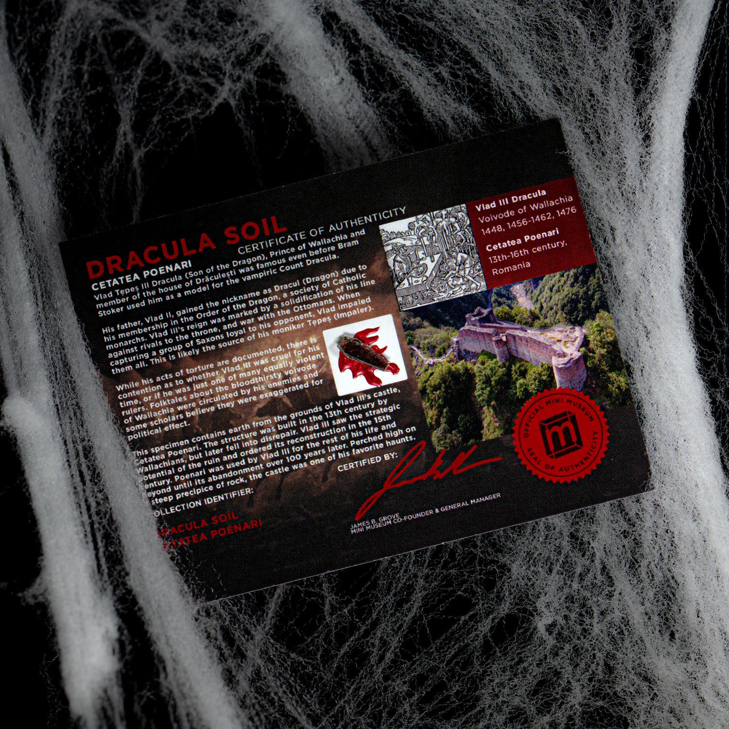 Dracula's Castle Soil Coffin - Display Card 🦇 - Image 3