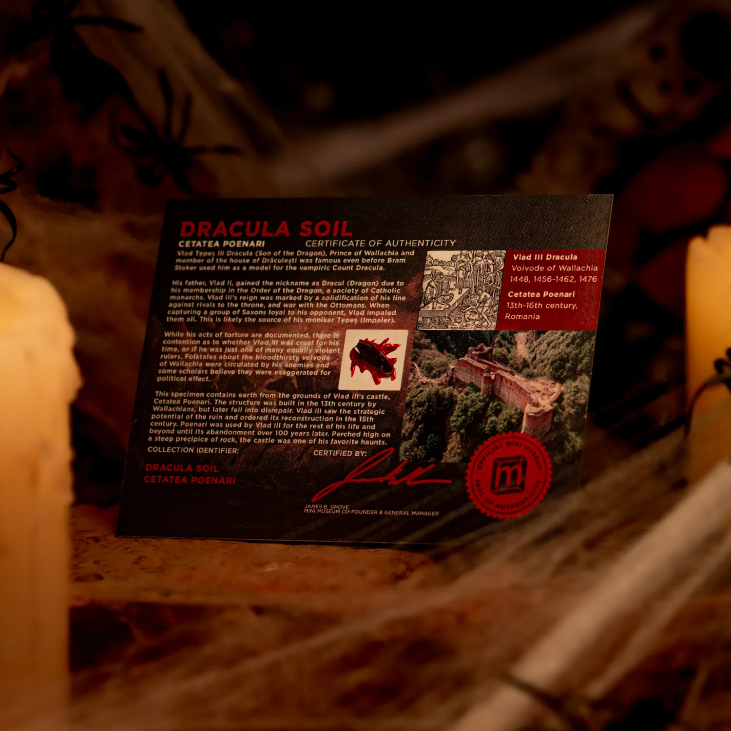 Dracula's Castle Soil Coffin - Display Card 🦇 - Image 4