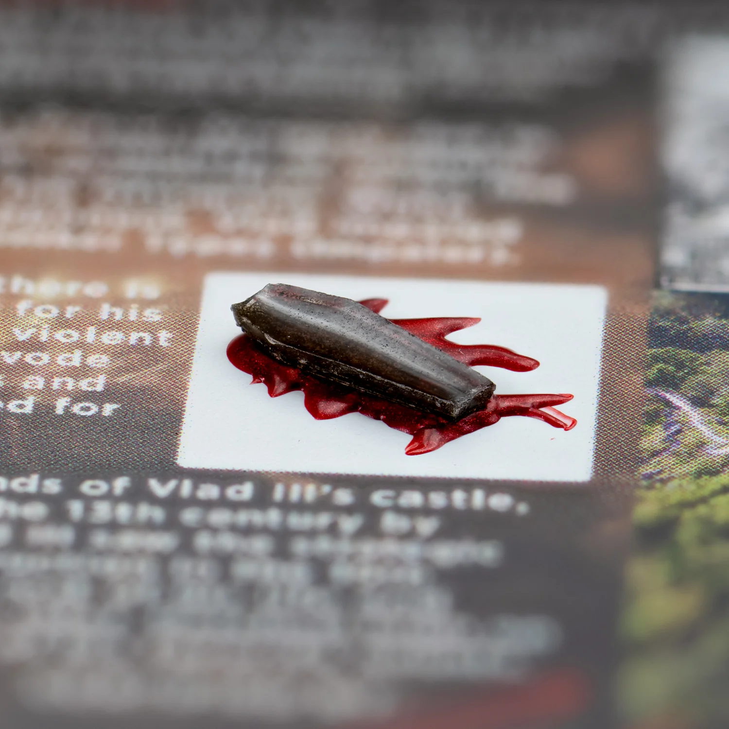 Dracula's Castle Soil Coffin - Display Card 🦇 - Image 5
