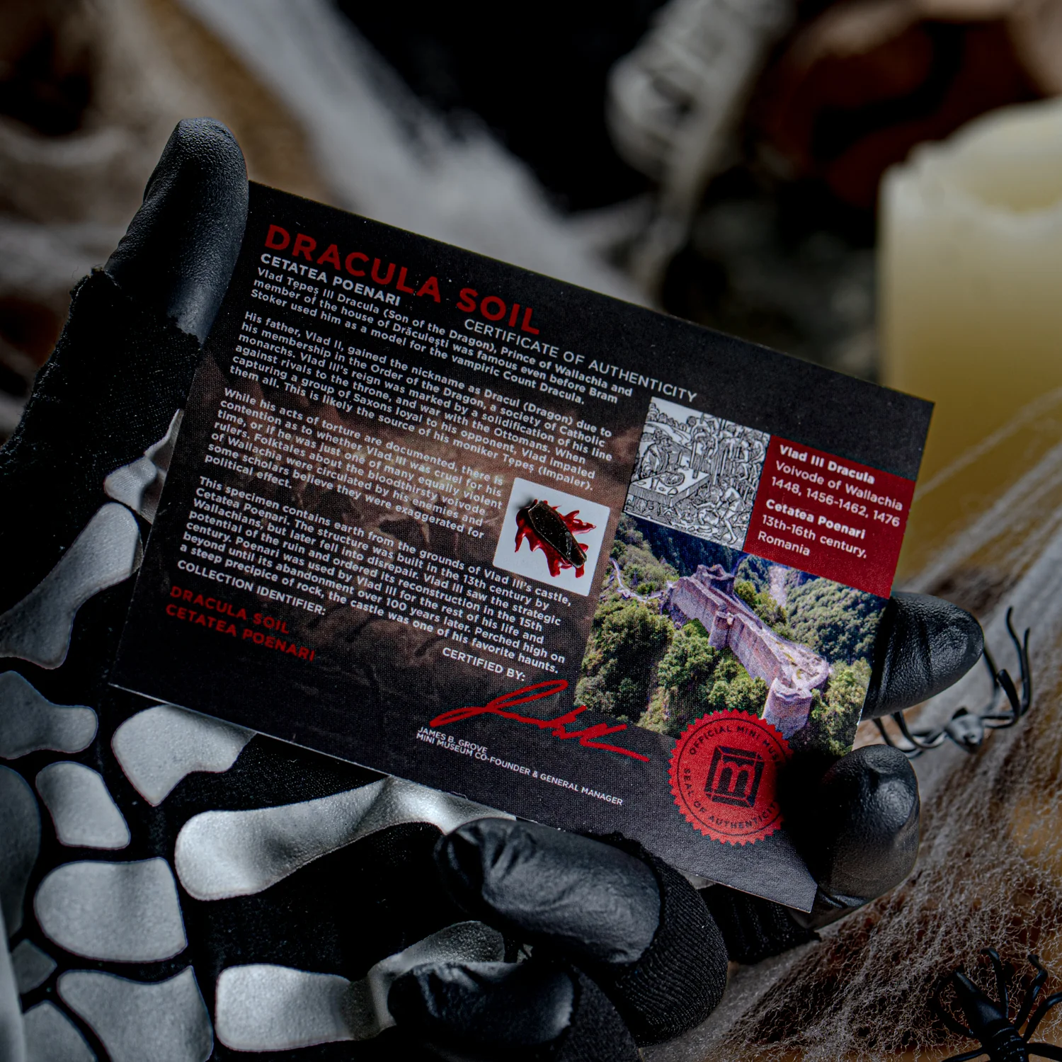 Dracula's Castle Soil Coffin - Display Card 🦇 - Image 6