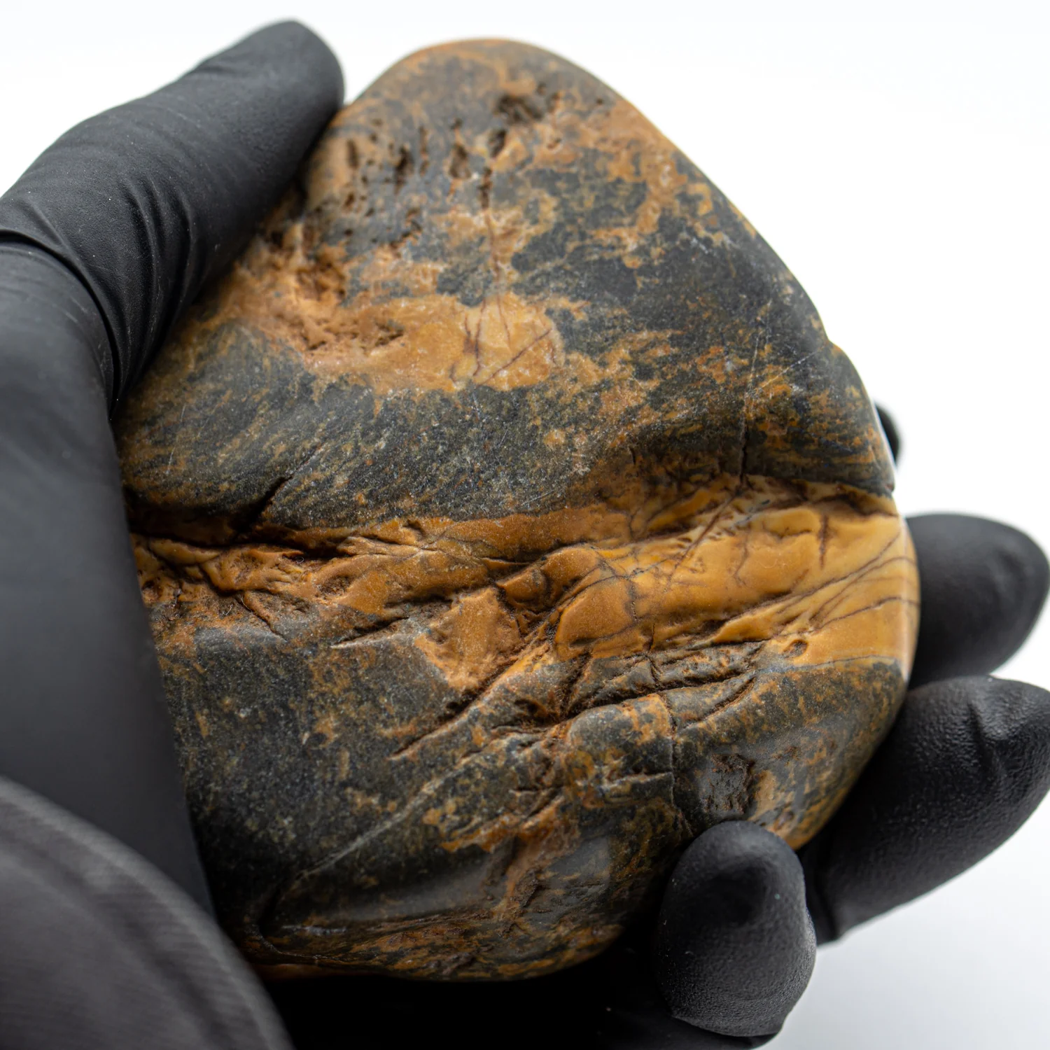 Duck Creek Dolomite - 3.345" Stromatolite Formation - Image 2