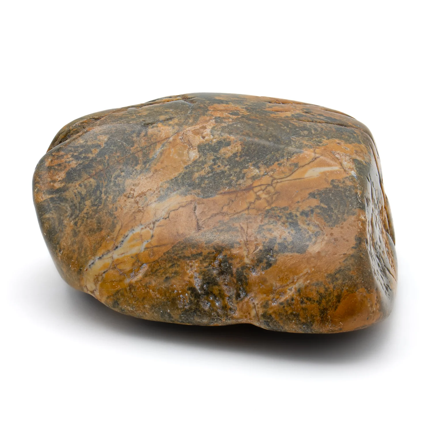 Duck Creek Dolomite - 3.345" Stromatolite Formation - Image 3
